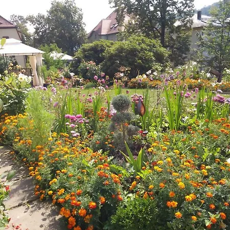 Wilhelm * Bad Schandau