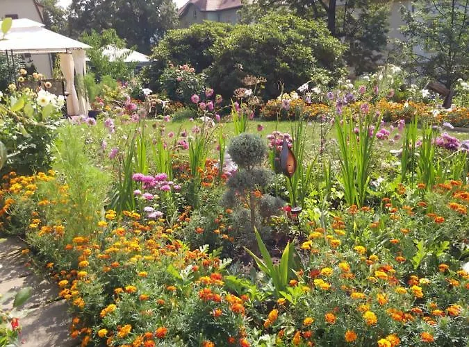 Wilhelm * Bad Schandau