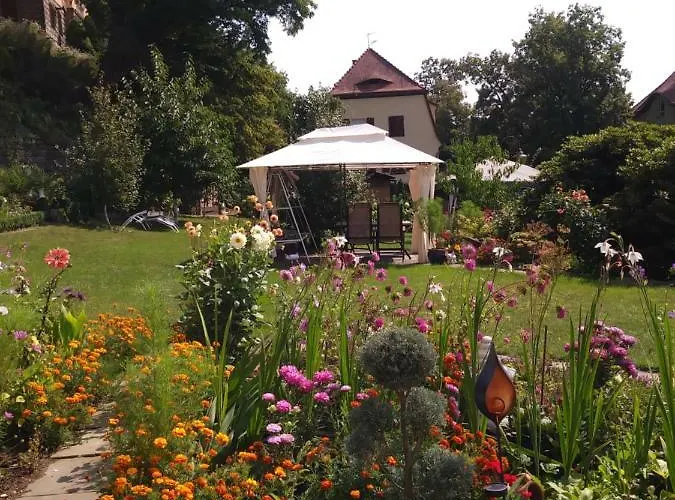 Wilhelm Apartment Bad Schandau